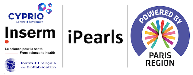 2024 Logo Projet iPearls Small
